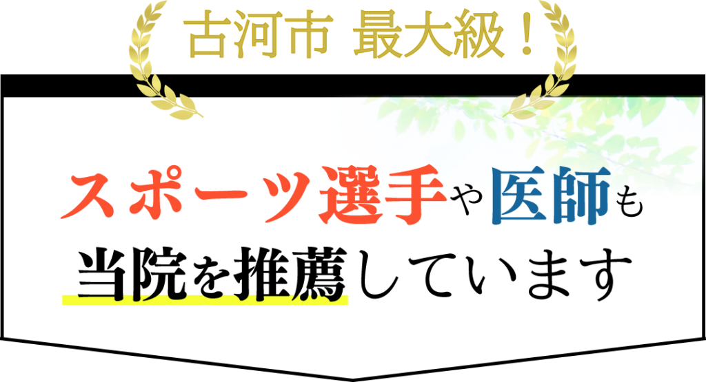 古河市最大級 スポーツ選手や医師が当院を推薦しています